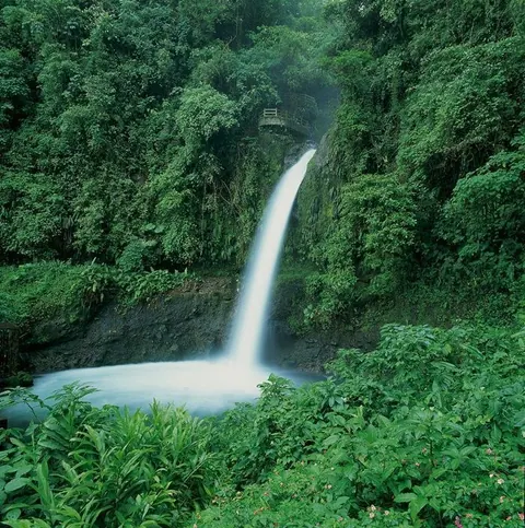 Cascada de la Paz. Parque Nacional Braulio Carrillo. Área de Conservación Cordillera Volcánica Central. Provincia de Heredia. Costa Rica