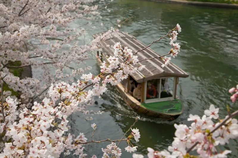 Río Hori