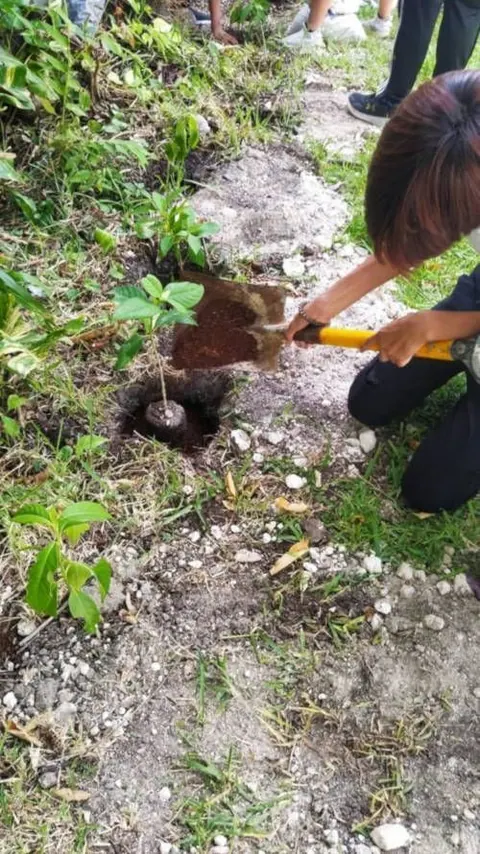La Fundación Eco-Bahía celebra el día del árbol en México