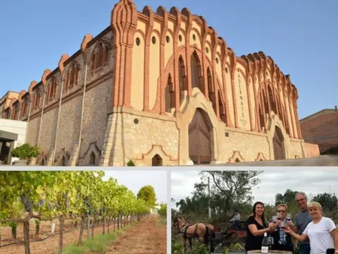 Rutas de Enoturismo - Tarragona