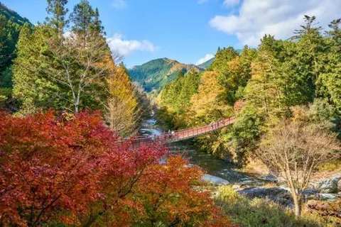 Momiji