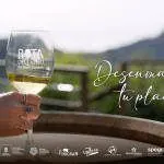 La ruta del vino de gran canaria