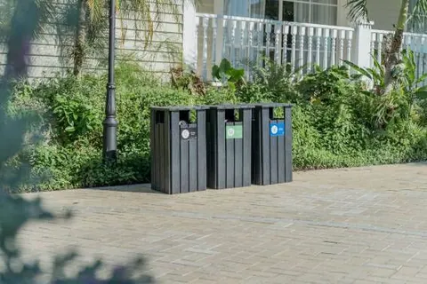 Grupo piñero