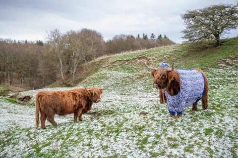 Escocia en invierno