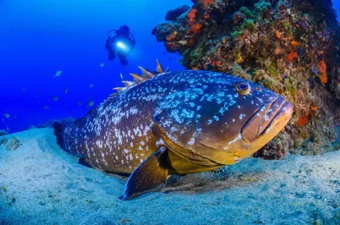 Activa Canarias pide soluciones para garantizar el turismo activo en Lanzarote