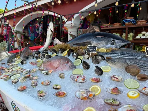 Savour Wine Fest IV: una noche de aromas, sabores y éxito rotundo en la Riviera Maya