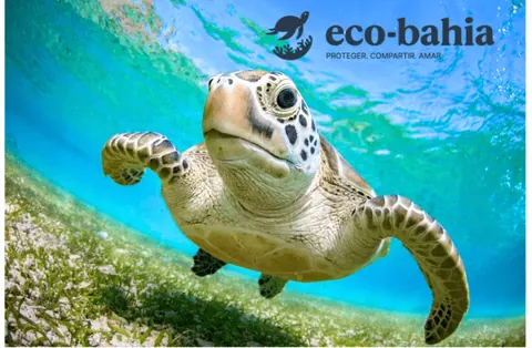 eco-bahia