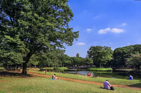 El lado más zen de Tokio naturaleza y calma en plena metrópoli